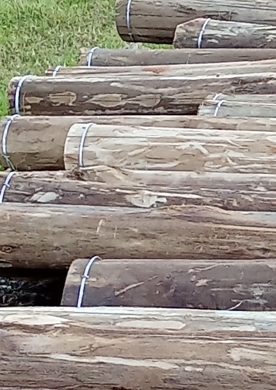 12-feet treated wooden fencing pole with galvanized anti-crack binding.